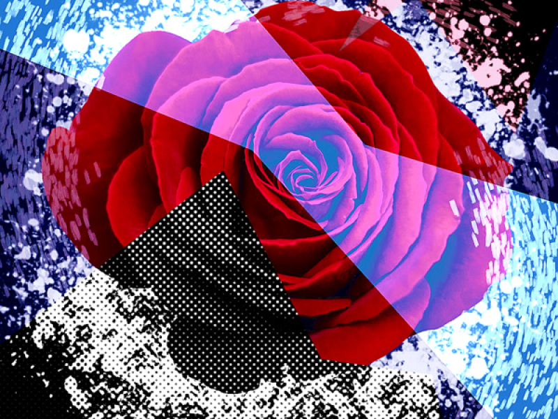 FLOR DIMENSIONAL (Single)