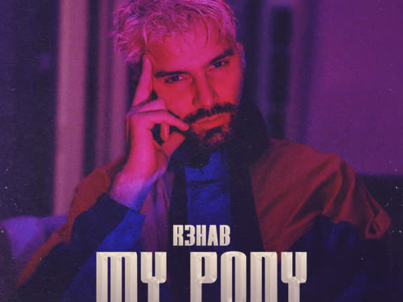 My Pony (Mark Shakedown Remix) (EP)