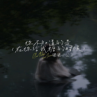 你不知道的是 (在你给我糖的时候) (Single)