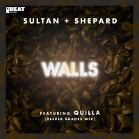 Walls (Deeper Shades Mix) (Single)