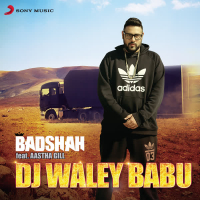 Dj Waley Babu (Single)