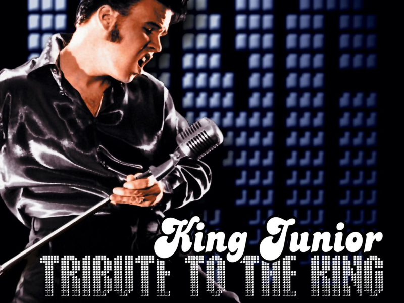 A Tribute to The King [Remixed] (XL-VIS Junkie Rud-Dee Edit) (Single)