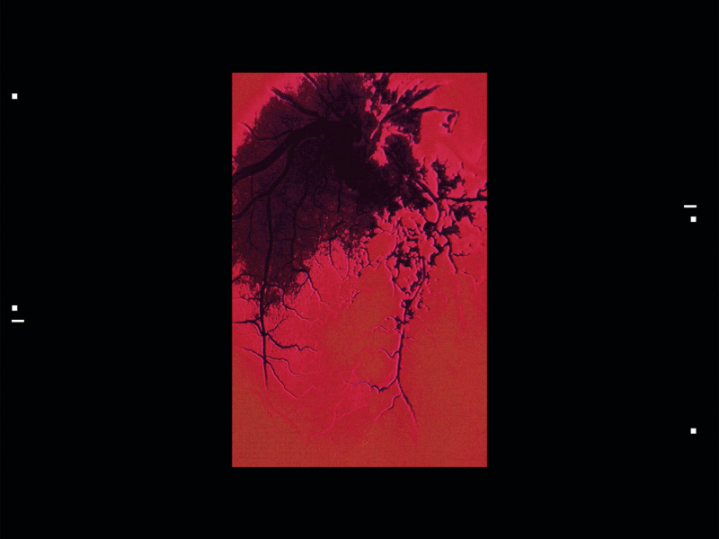 Warm Blood (Single)