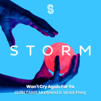 Won't Cry Again for Ya (Single)