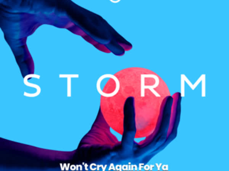 Won't Cry Again for Ya (Single)