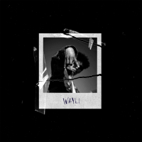 Wayli (Single)