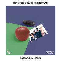 Words (feat. Bri Tolani) [kr1sh Remix] (Single)