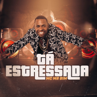 Tá Estressada (Single)