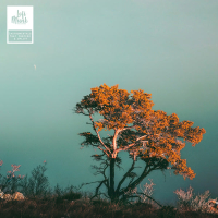 Because Of Tradition (Single)