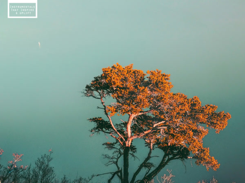 Because Of Tradition (Single)