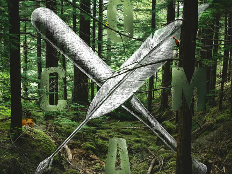 Cel mai frumos loc de pe pământ (Acustic) (Single)