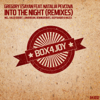 Into the Night (Remixes) [feat. Natalia Pevcova] (EP)