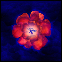 I Didn't Believe (Extended Version) (Single)