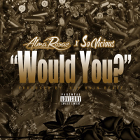 Would You? (feat. So Vicious) (Single)