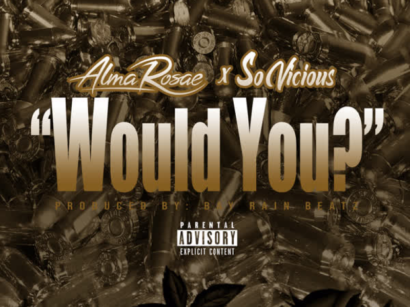 Would You? (feat. So Vicious) (Single)