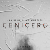 Cenicero (Single)