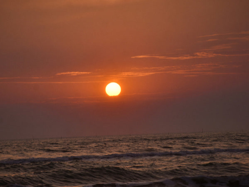 into the sunset (Single)