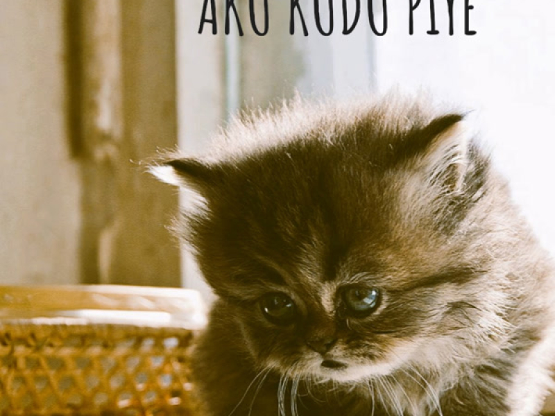 AKU KUDU PIYE (Remix) (Single)