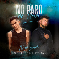 No Paro De Llorar (Single)