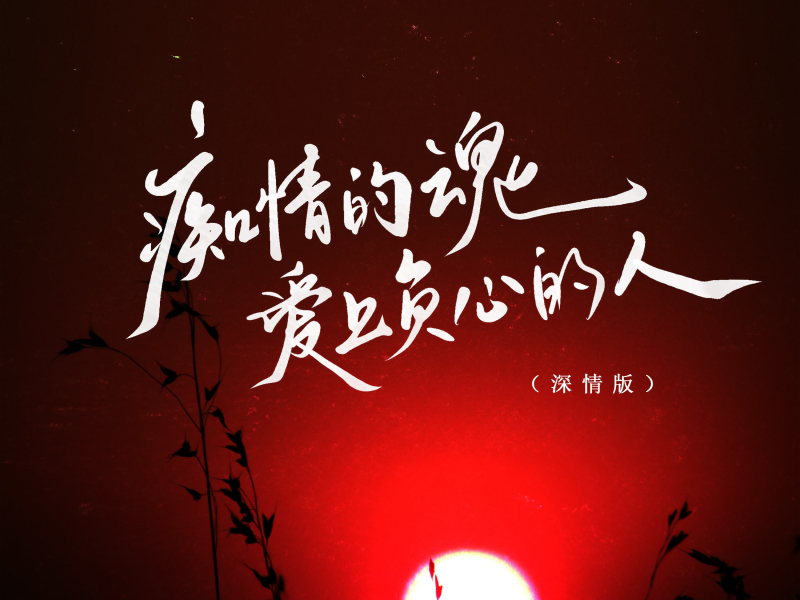 痴情的魂爱上负心的人 (深情版) (Single)