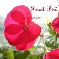 Forest Bird (Single)