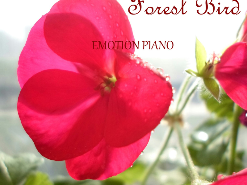 Forest Bird (Single)