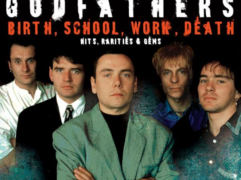 Birth, School, Work, Death: Hits, Rarities & Gems