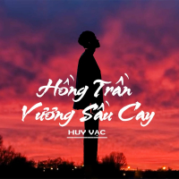 Hồng Trần Vương Sầu Cay Beat (Single)