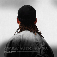 STELT NIKS VOOR (Single)