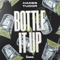 Bottle It Up (Single)