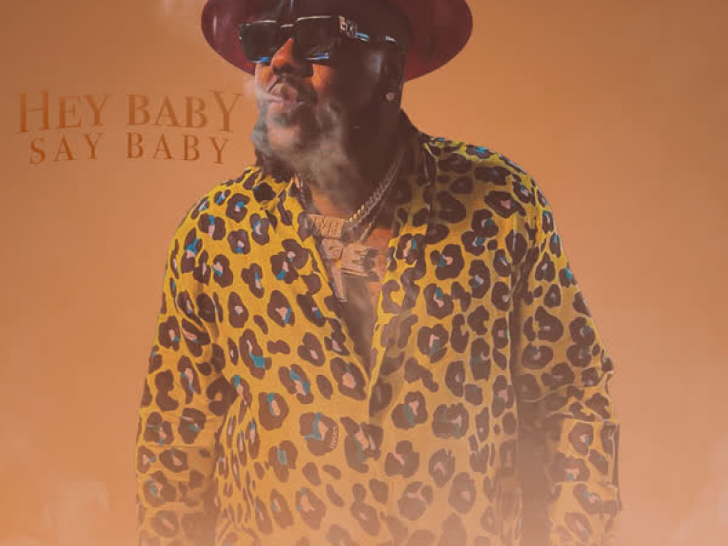 Hey Baby Say Baby