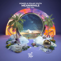 Meanwhile (Single)