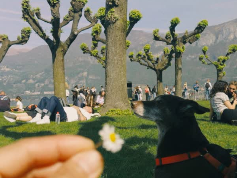 แท่ด (Single)