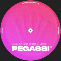 Wat Is Die Mo? (Single)