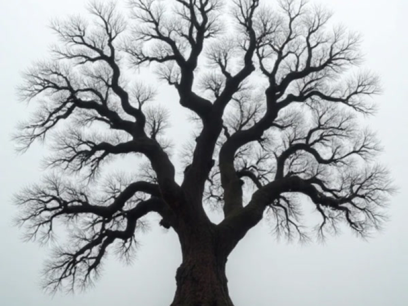 Sebelum senja datang (Remastered 2025) (Single)