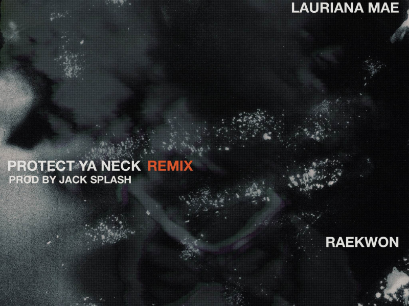 Protect Ya Neck (feat. Raekwon) [Remix]