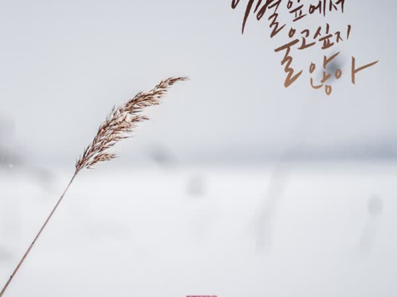 Love Interference Season2 (Original Television Soundtrack), Pt. 20 (Single)