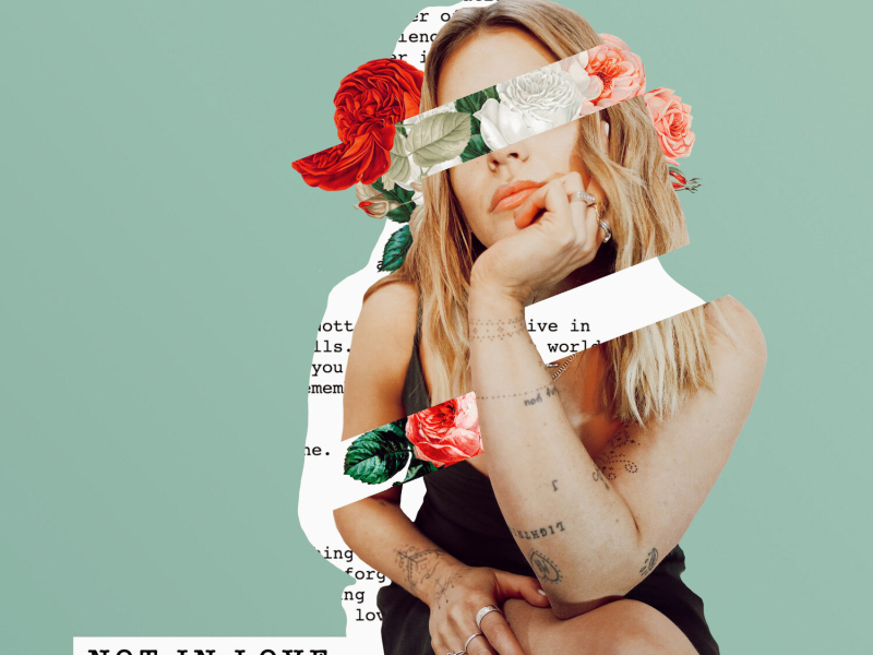 Not in Love (Single)