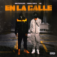 EN LA CALLE (Single)