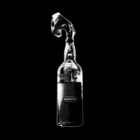 Firestarter (Andy C Remix) (Single)