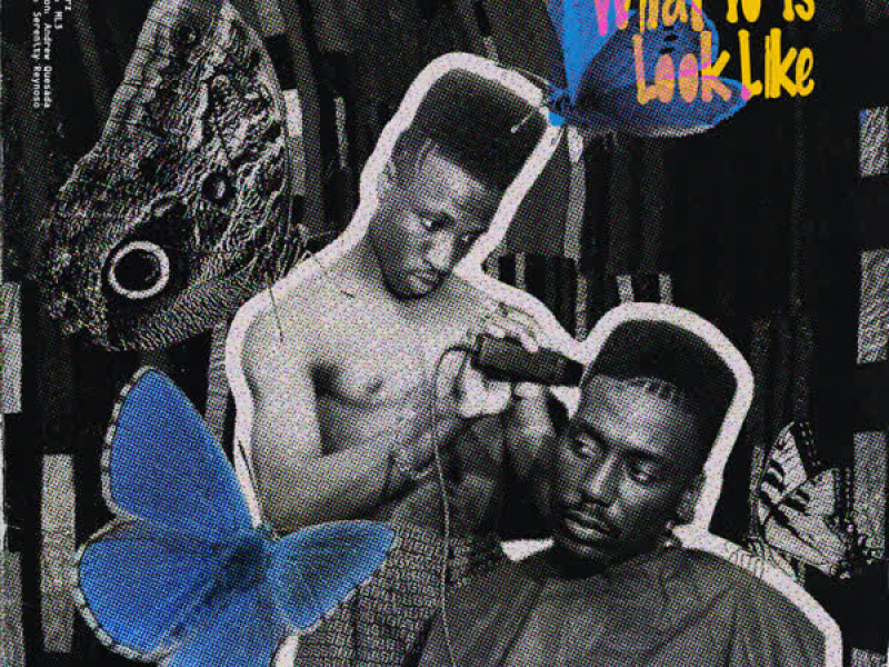 What Yo 1s Look Like (Single)