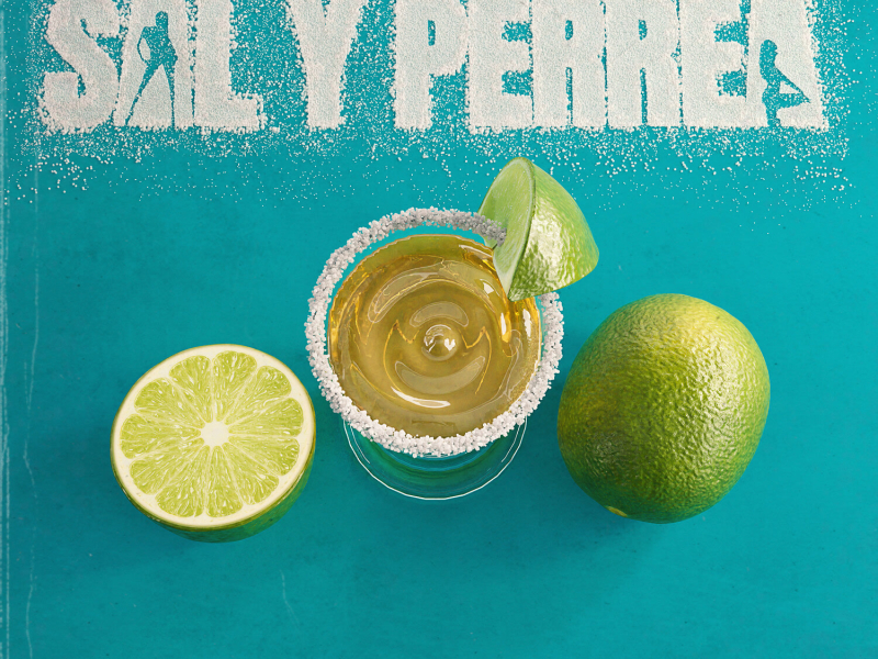 Sal y Perrea (Remix) (Single)