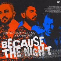 Because The Night (Single)