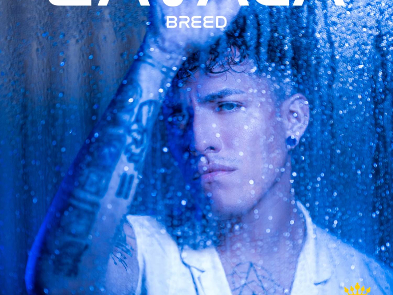 Breed (Single)