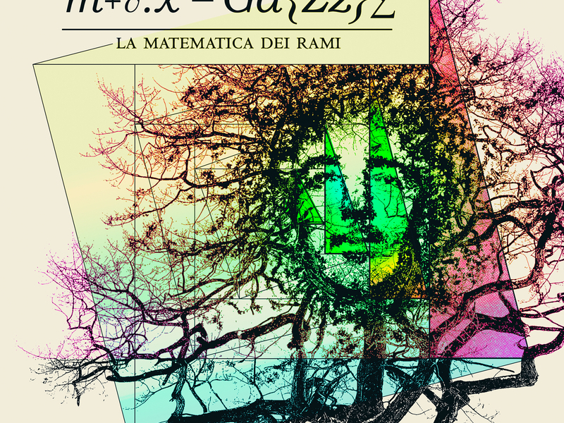La Matematica Dei Rami