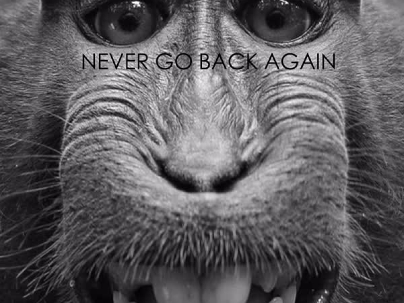 Never Go Back Again (Single)