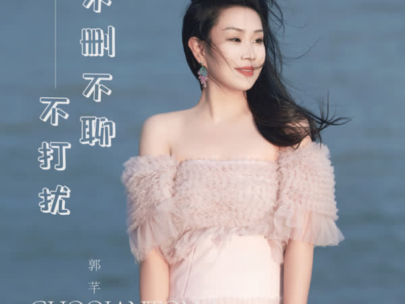 不删不聊不打扰 (DJ阿尼版) (EP)