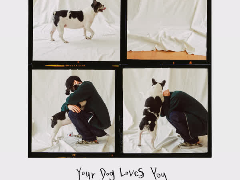 Your Dog Loves You (Single)