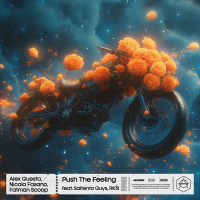 Push The Feeling (Single)