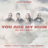 You Are My High (Ty moy kayf) (Latin Version) (Single)